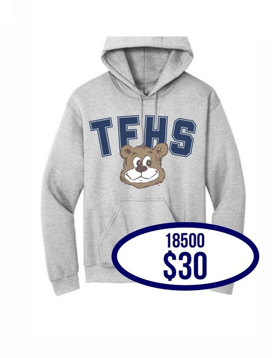 TFHS Hoodie in Ash